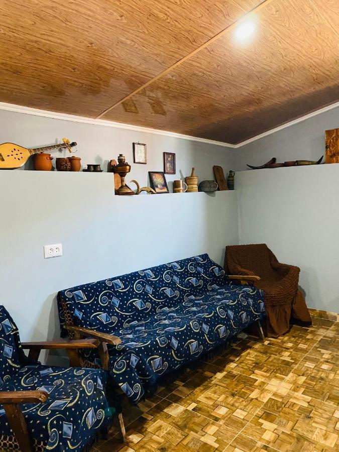 Mamuka'S Guesthouse Udabno Екстер'єр фото