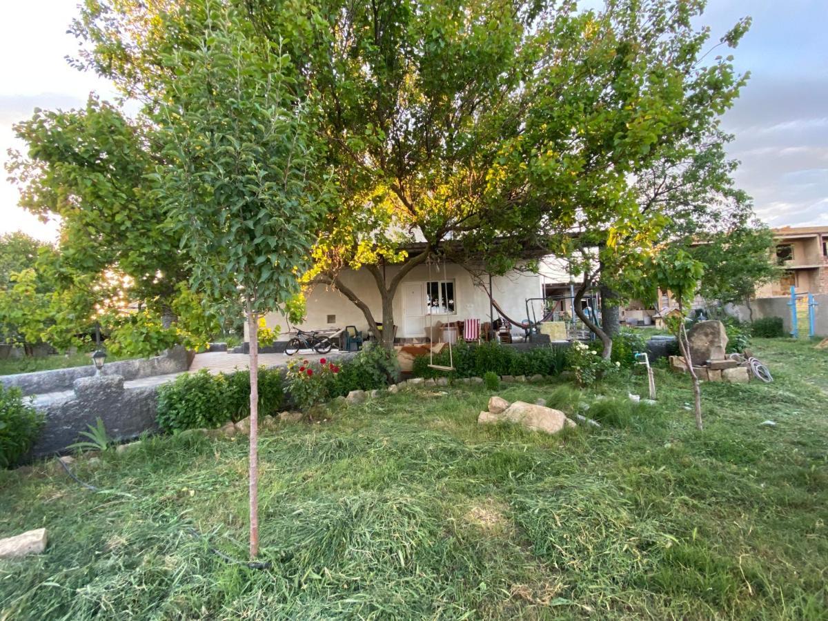 Mamuka'S Guesthouse Udabno Екстер'єр фото