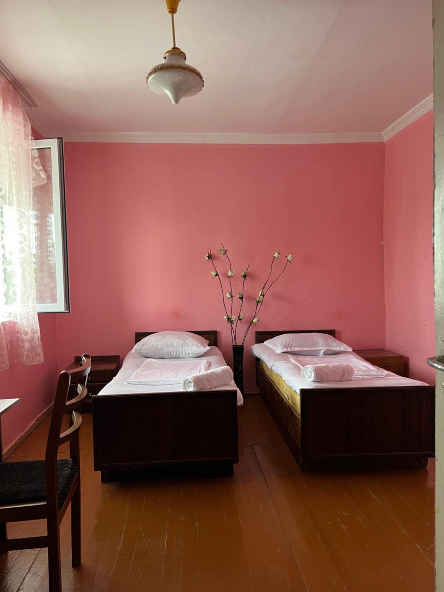 Mamuka'S Guesthouse Udabno Екстер'єр фото