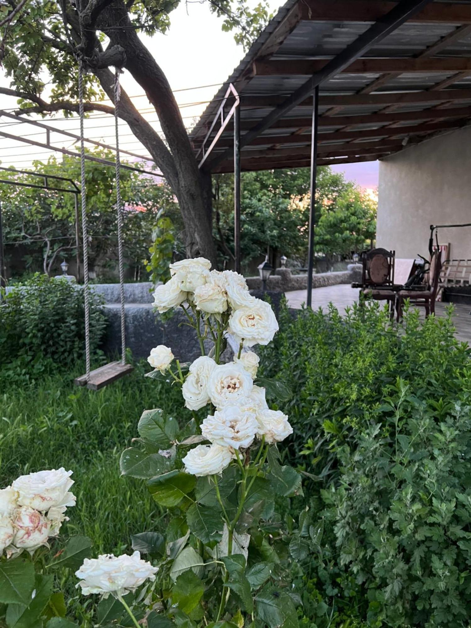 Mamuka'S Guesthouse Udabno Екстер'єр фото